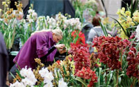 RHS shows brighten up the capital this spring