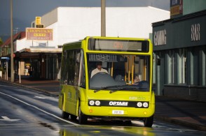 Reesby Buses has been operated British-built vehicles under the CityRide brand for some time. ANY IZATT