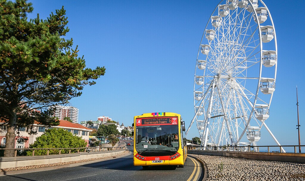 Yellow Buses