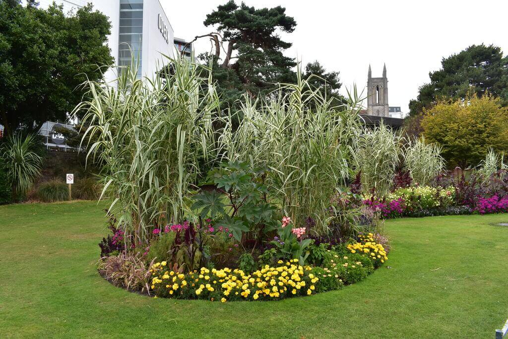 Civic pride shows in the floral displays in Bournemouth’s Lower Gardens. Alan Payling