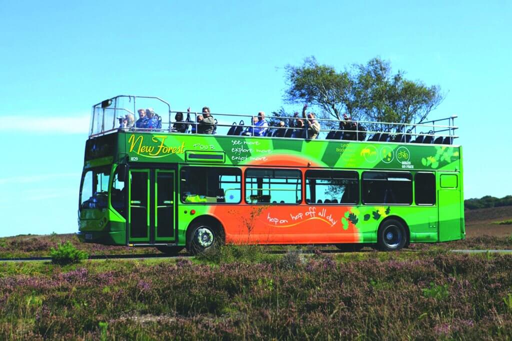 open top tour bus new forest