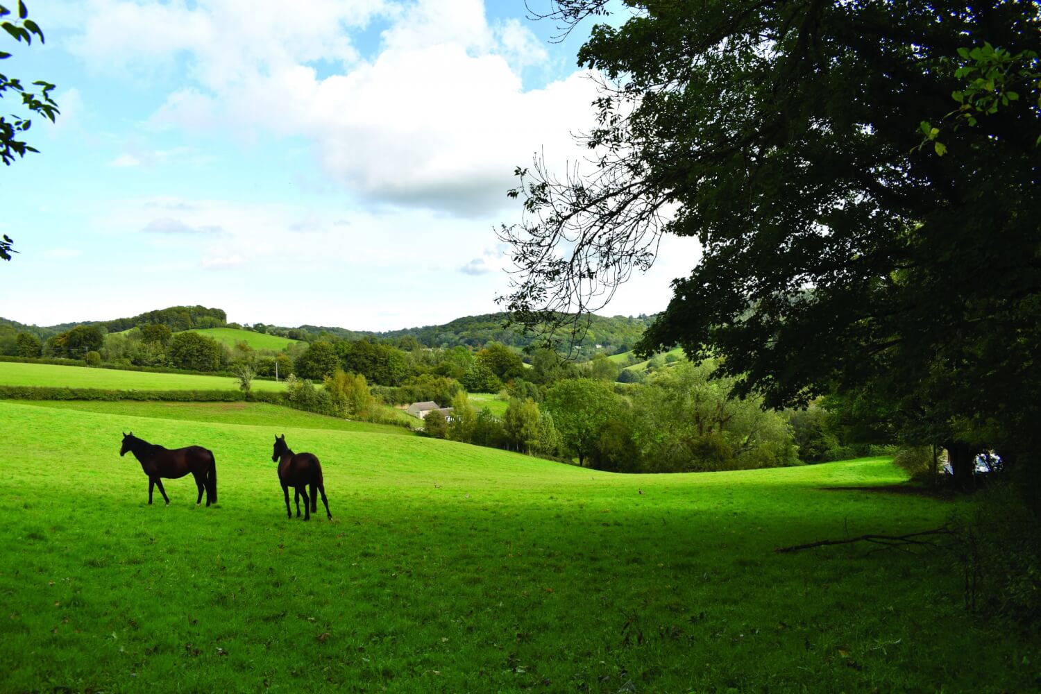 The Slad Valley is still a rural enclave that many will enjoy. Photo Alan Payling