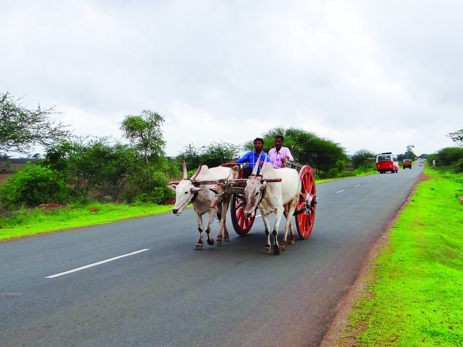 Bullock carts are quire common on the roads of Karnataka, India. Photo – Bishnu Sarangi via PIxabay