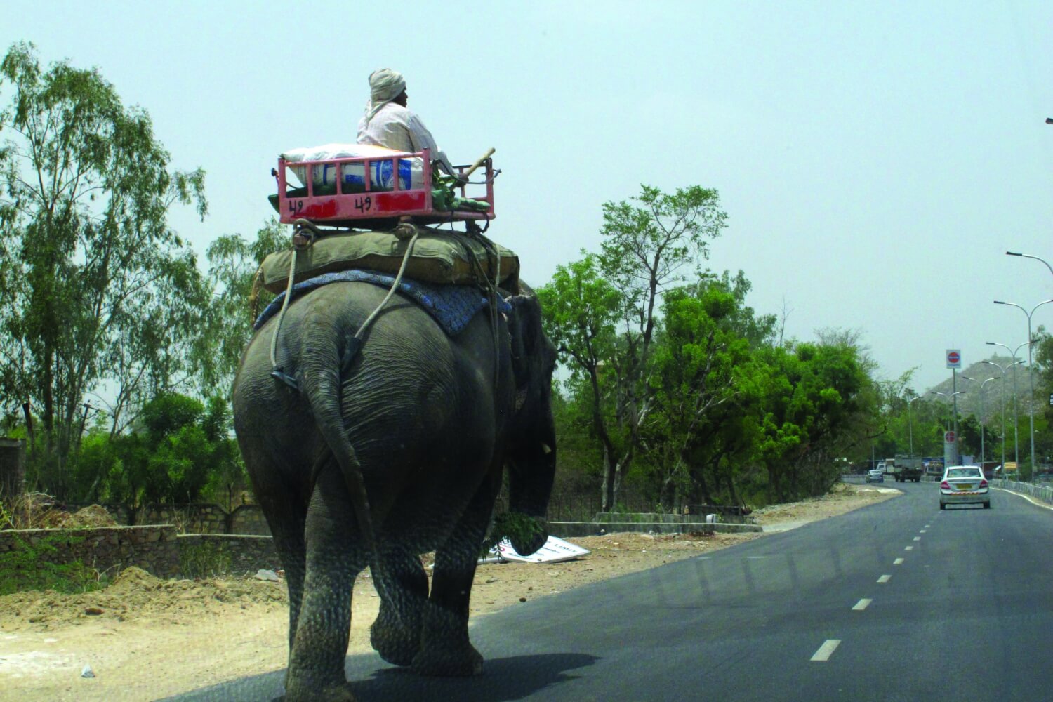 Plenty of room on top! Never be surprised by the other road users on the Delhi Jaipur highway the NH48, a major trunk road. Photo – Aripstra via Wikimedia Commons