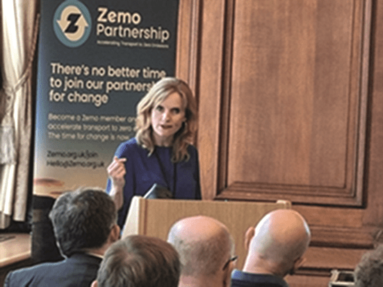 Zemo Claire Haigh