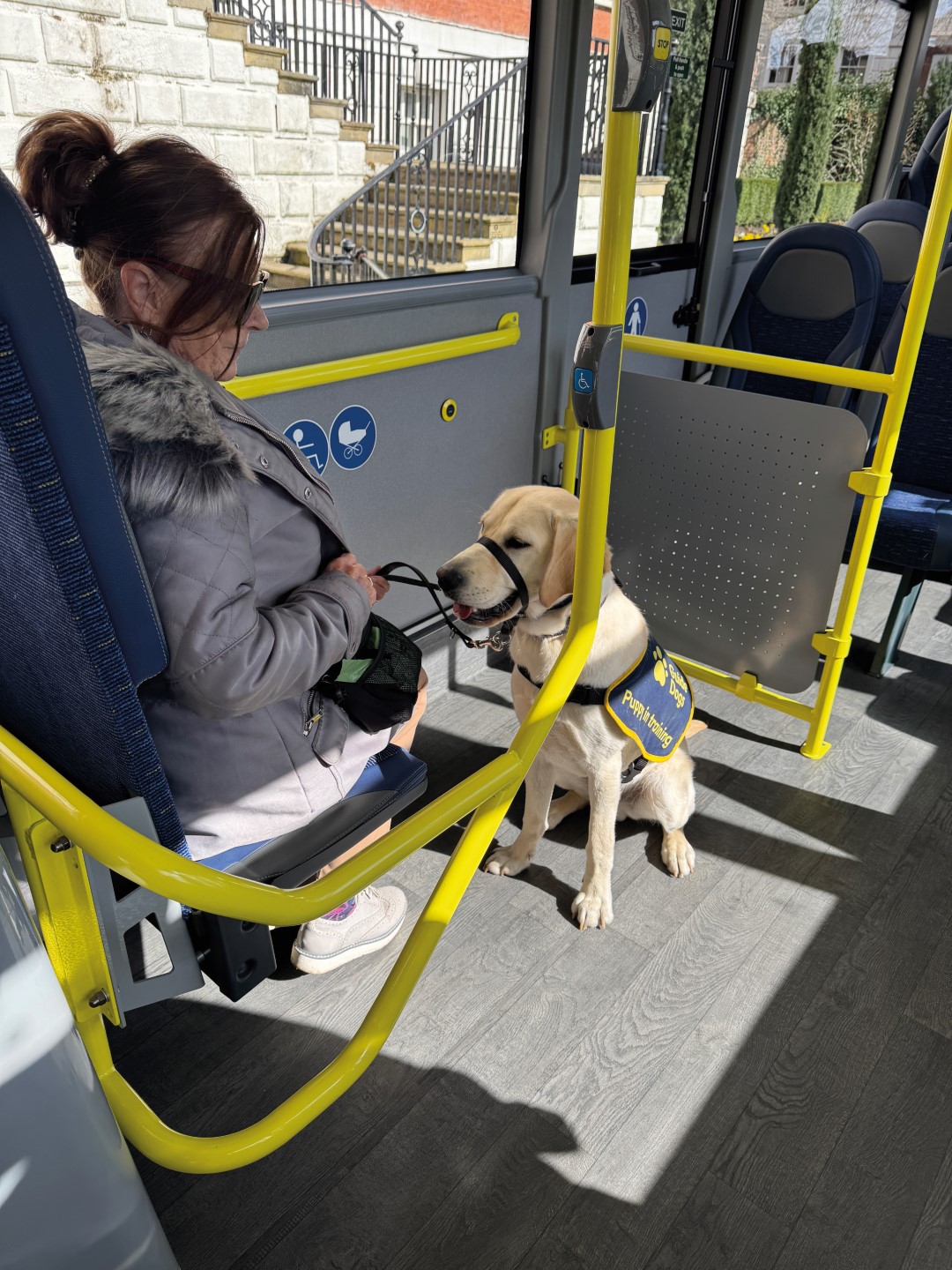 Warrington – Guide Dogs (Large)