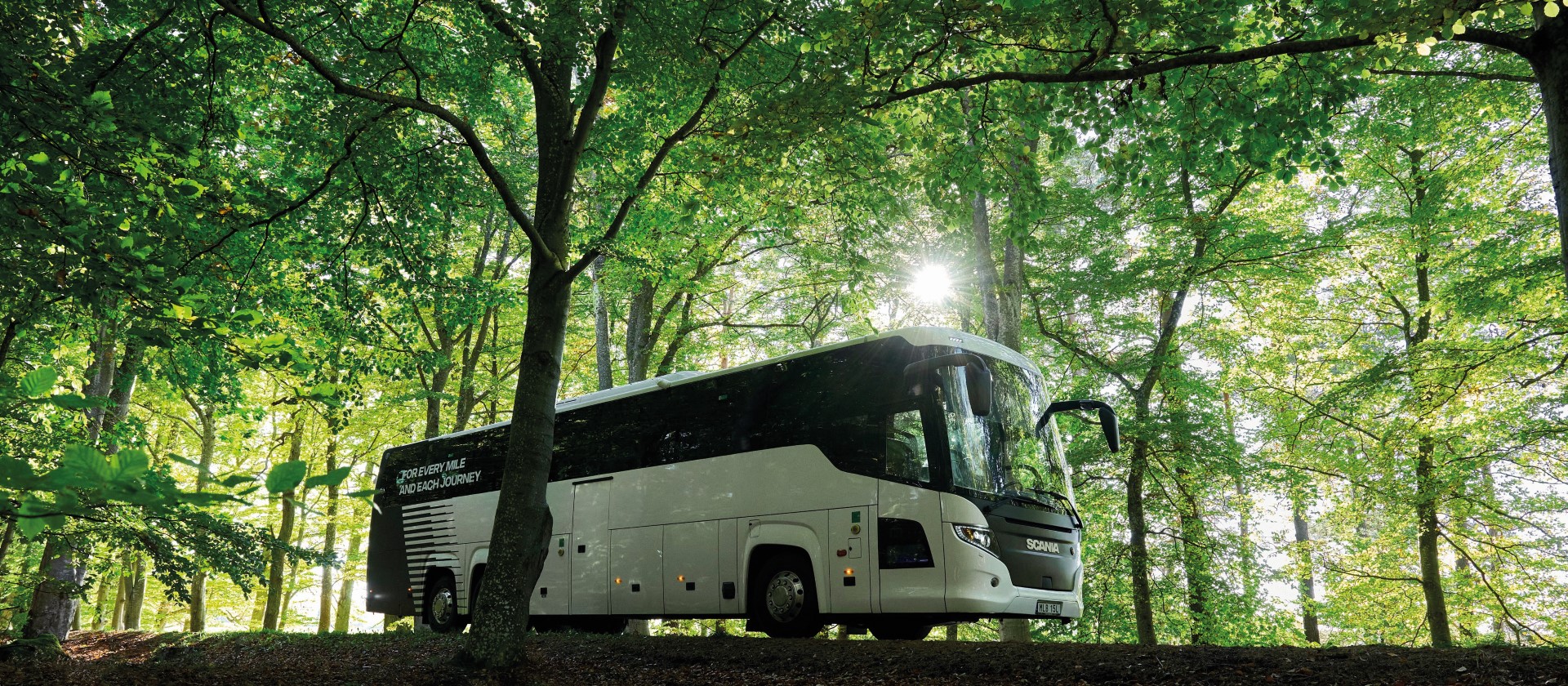 Scania 2024 (Large)